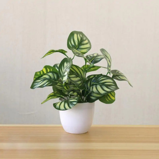 Artificial Succulent Plant | Realistic Faux Greenery for Stylish Home & Office Décor