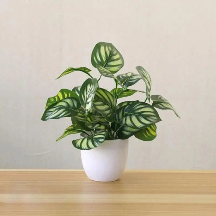 Artificial Succulent Plant | Realistic succulent Decoration