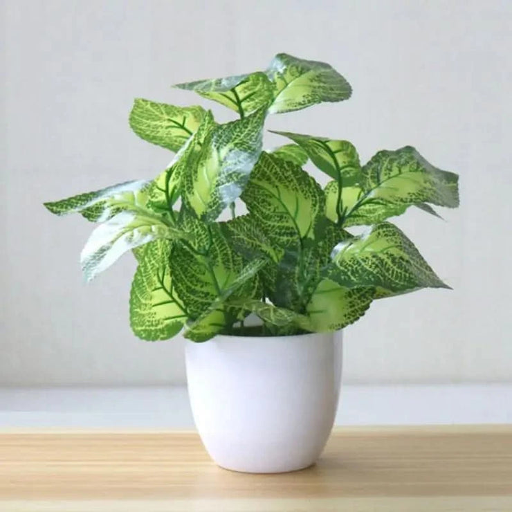 Artificial Succulent Plant | Realistic succulent Decoration