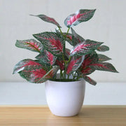 Artificial Succulent Plant | Realistic Faux Greenery for Stylish Home & Office Décor